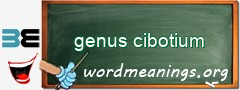 WordMeaning blackboard for genus cibotium